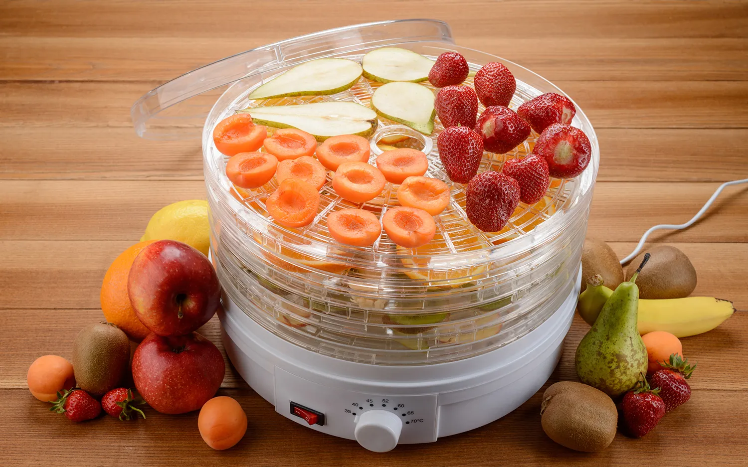 The Ultimate Vegetable Dehydrator Comparison Make an Informed Choice 2