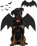 Halloween Dog Bat Wings Costume, Pet