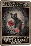 PAIION Salem Sanctuary For Wayward Cats