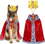 Dog King Costume, Dog Halloween Costumes
