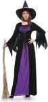 Women's Witch Fancy Dress Halloween