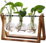 XXXFLOWER Plant Terrarium with Wooden