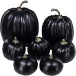 Winlyn 7 Pcs Assorted Artificial Black