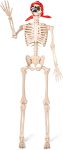 JOYIN 5 FT Halloween Posable Skeleton
