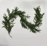 4.8Ft Artificial Christmas Norfolk Pine