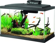 Aqueon Aquarium Fish Tank Starter Kit