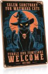 Salem Sanctuary for Wayward Cat,Vintage