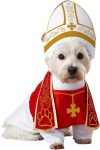 California Costumes Holy Hound Pet