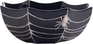 Bico Halloween Spider Web 9.5 inch Black