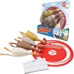 University Games, Flickin Chicken Indoor